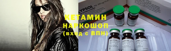 гидра Вяземский