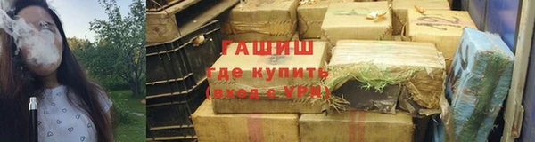 гидра Вяземский