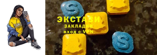 гидра Вяземский