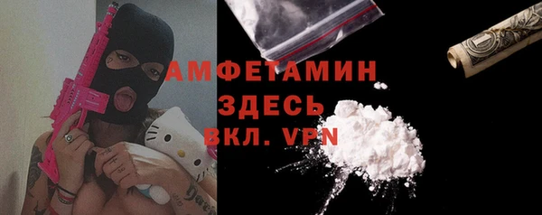 гидра Вяземский