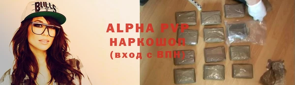 индика Горняк