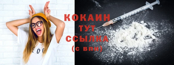 индика Горняк