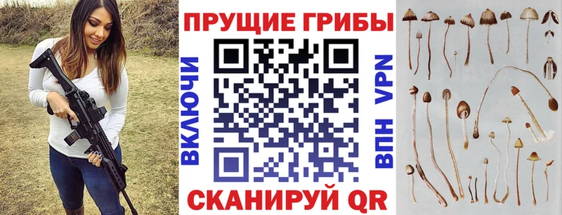 Псилоцибиновые грибы ЛСД  Химки 