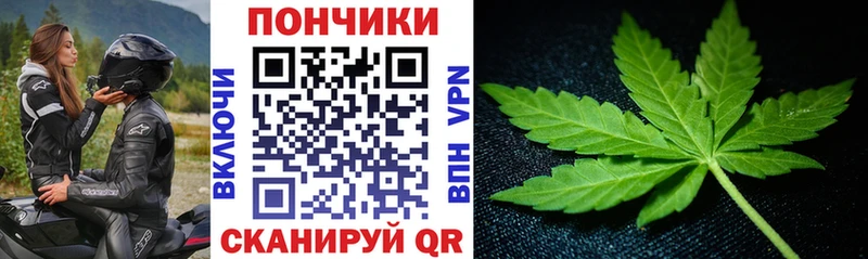 МАРИХУАНА семена  МЕГА маркетплейс  Химки 